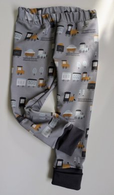 Legíny