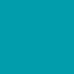 S49