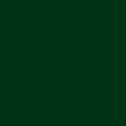S37 S37